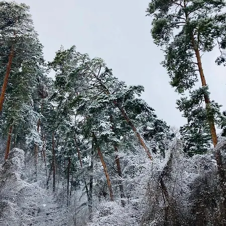 Appartement Pine Forest 2 *